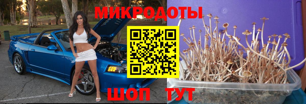 Псилоцибиновые грибы ЛСД  Вход с VPN  Гагарин 